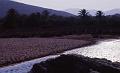 122-Creta (Vai), 7 agosto 1998